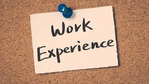 Work Experience Logo